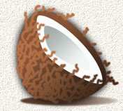 (Illustration... a coconut, for some reason!)