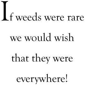 If weeds were rare, we would wish that they were everywhere!