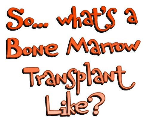 So What's a Bone Marrow transplant Like?