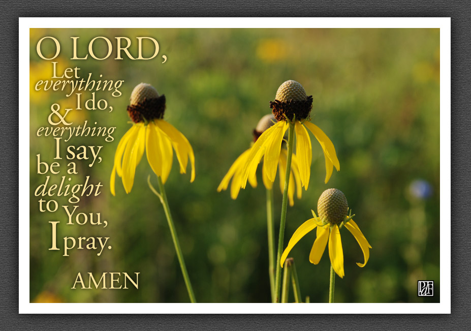 O Lord, let everything I do, and everything I say be a delight to you, I pray. Amen!