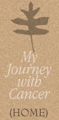 Back to My Journey Index