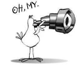 (Funny little drawing of a funny little bird with a spyglass)