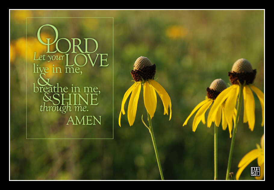 O Lord, let your love live in me, and breathe in me, and shine through me. AMEN!