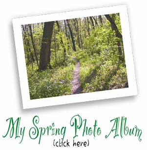 My Spring Photo Album
