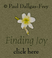 Back to Finding Joy - click here