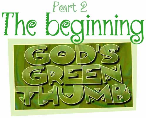 The Beginning, Part 2 - God's Green Thumb