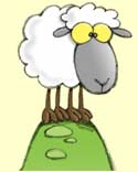 (Illustration - sheep)