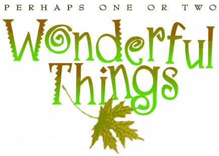Perhaps One or Two Wonderful Things